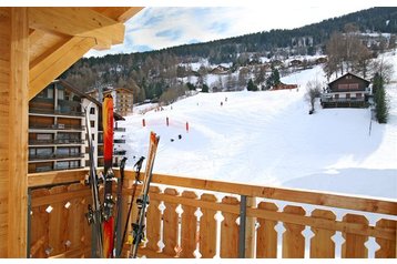 Zwitserland Privát Nendaz, Exterieur